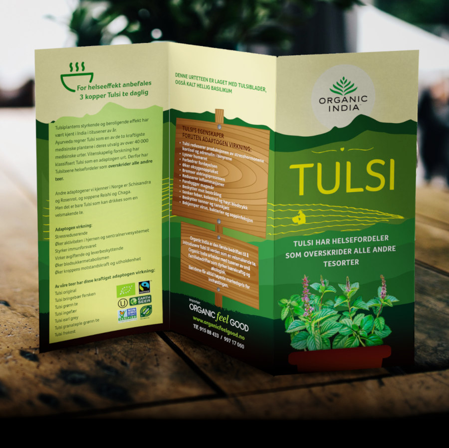 Triptych Brochure | OFG